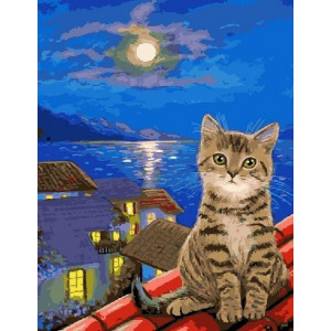 Картина по номерам "Котик на крыше"