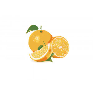 Картина по номерам "Соковитий апельсин"