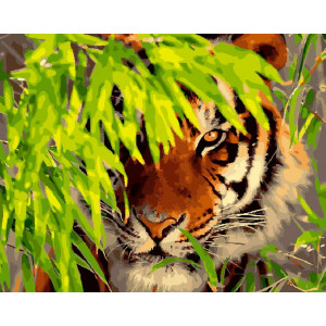 Картина по номерам "Тигр в укрытии"