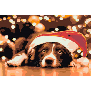 Картина по номерам "Пес в новогодней шапочке"