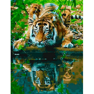 Картина по номерам "Тигр у реки"