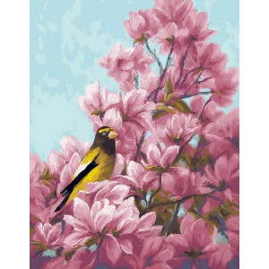 Картина по номерам "Жёлтая птица на Сакуре"