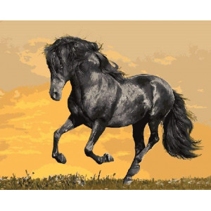 Картина по номерам "Чёрный конь"