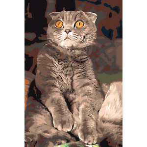 Картина по номерам "Удивленный кот"