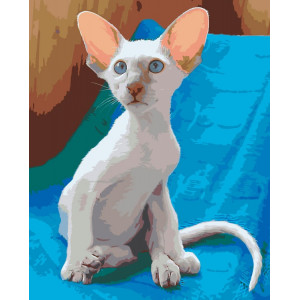 Картина по номерам "Орієнтальна кішка"