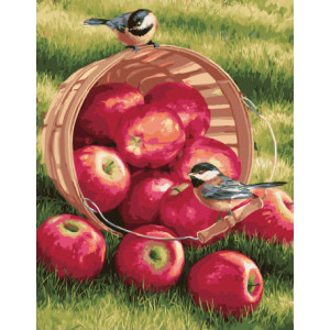 Картина по номерам "Яблоки и птицы"