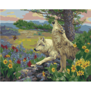 Картина по номерам "Степные волки"