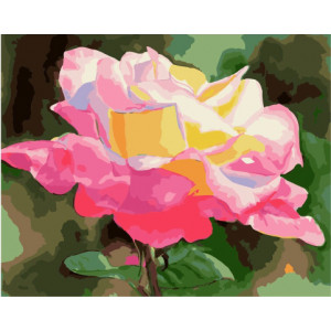 Картина по номерам "Бутон розы под солнцем"