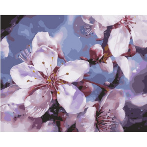Картина по номерам "Цветы вишни"
