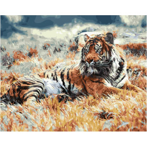 Картина по номерам "Тигр у степу"