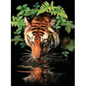 Картина по номерам "Тигр"