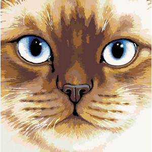 Картина по номерам "Сиамская кошка"