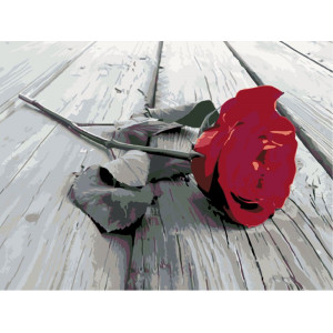 Картина по номерам "Червона троянда"