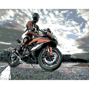 Картина по номерам "Мотоциклист"