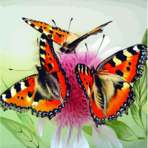 Картина по номерам "Бабочки на цветке"