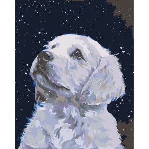 Картина по номерам "Белый пёс"