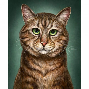 Картина по номерам "Умный кот"