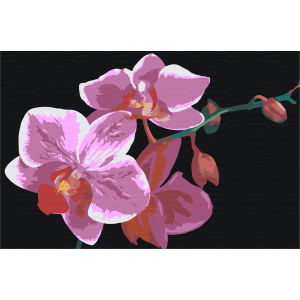 Картина по номерам "Гілка орхідеї"