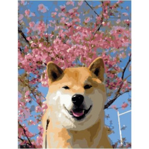 Картина по номерам "Весенний пёс"