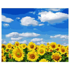 Картина по номерам "Соняшникове поле"