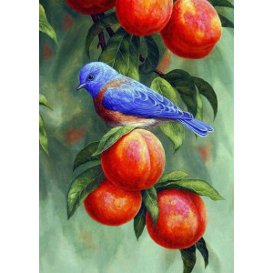 Картина по номерам "Пташка на гілці абрикосів"