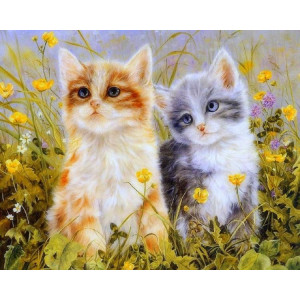 Картина по номерам "Два кошеня"