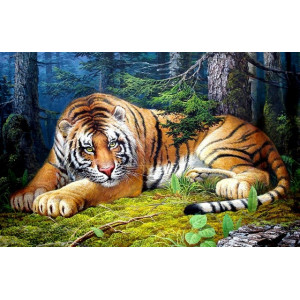 Картина по номерам "Тигр відпочиває"