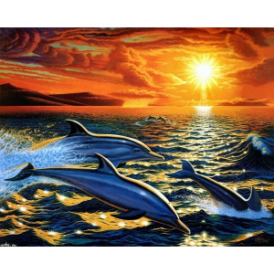 Картина по номерам "Дельфины на закате"