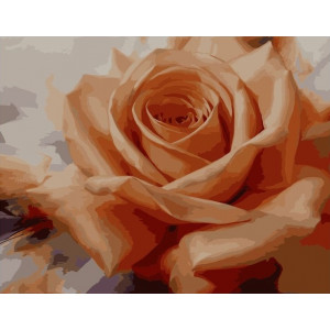 Картина по номерам "Оранжевая роза"