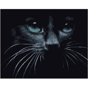 Картина по номерам "Черный кот"
