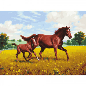 Картина по номерам "Лошади на лугу"