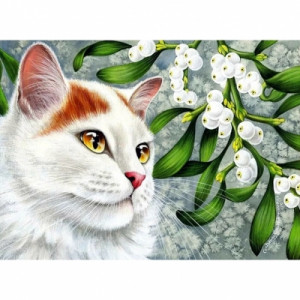 Картина по номерам "Белая кошка"