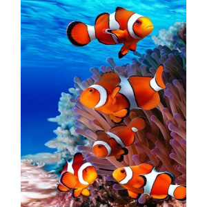 Картина по номерам "Морские рыбки"