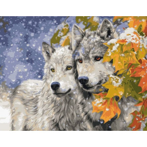 Картина по номерам "Два волка"