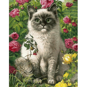 Картина по номерам "Пухнастий котик"