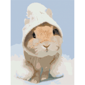 Картина по номерам "Маленький крольчонок"