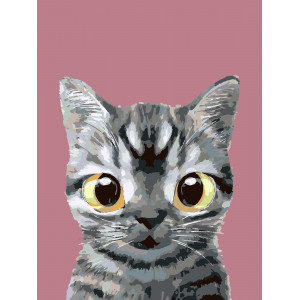 Картина по номерам "Кот с большими глазами"