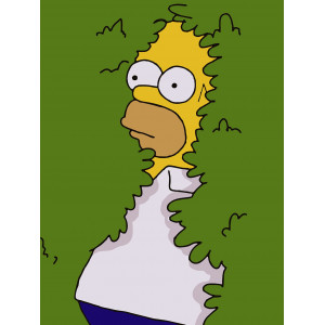 Картина по номерам "Симпсоны Гомер в кустах"