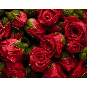 Картина по номерам "Освіжаючі краплі на трояндах"