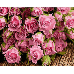 Картина по номерам "Большой букет розовых роз"