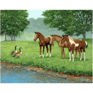 Картина по номерам "Лошади на водопое встретили уток"