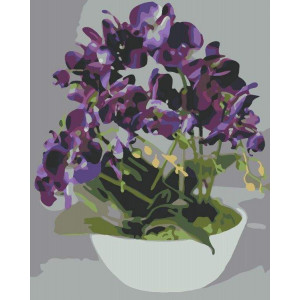 Картина по номерам "Фіолетова орхідея"