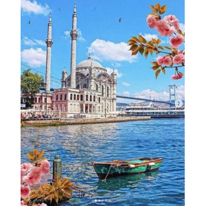 Картина по номерам "Стамбул"