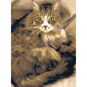 Картина по номерам "Пушистая кошка"