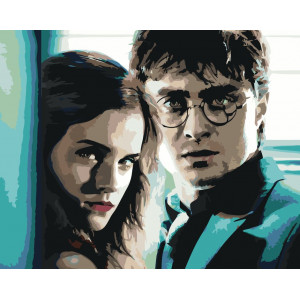 Картина по номерам "Гарри Поттер и Гермиона"