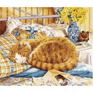Картина по номерам "Уютный сон спящий кот"