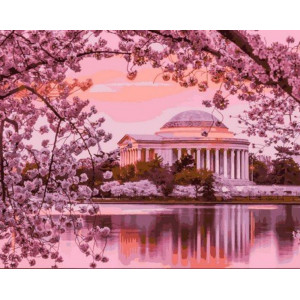 Картина по номерам "Мемориал в Вашингтоне"