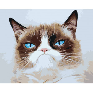Картина по номерам "Мем: Грампи кэт грустный кот"