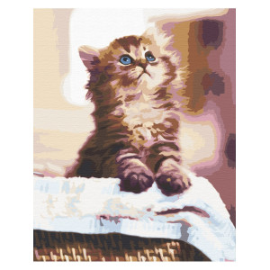 Картина по номерам "Котенок в корзинке"