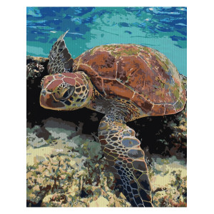 Картина по номерам "Морская черепаха"